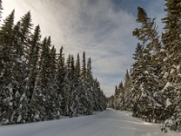 Camp Mercier